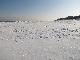 Zatoka Pucka zamarznięta, Bałtyk zamarza, w Jastarni kupa śniegu, czyli zima na Pólwyspie Helskim trzyma