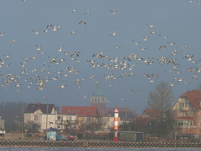 Kliknij, aby powrci na stron gwn tej galerii