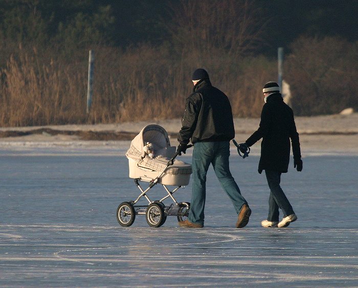 Kliknij, aby powrci na stron gwn tej galerii