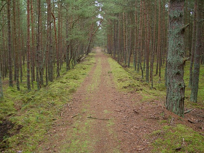 Kliknij, aby powrci na stron gwn tej galerii