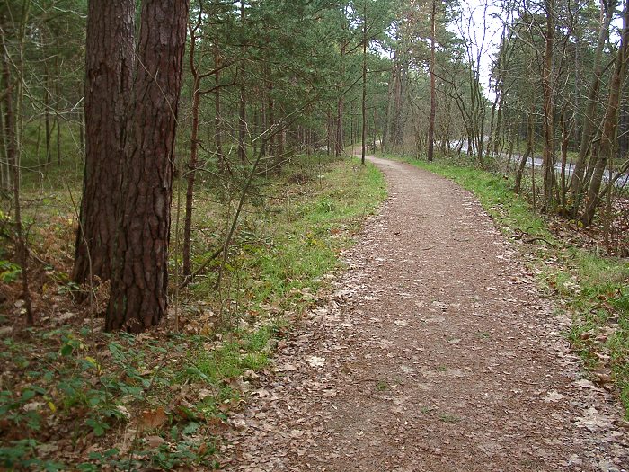 Kliknij, aby powrci na stron gwn tej galerii