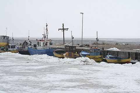 Kliknij, aby powrci na stron gwn tej galerii