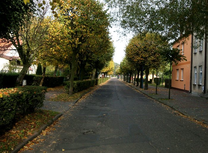 Kliknij, aby powrócić na stronę główną tej galerii