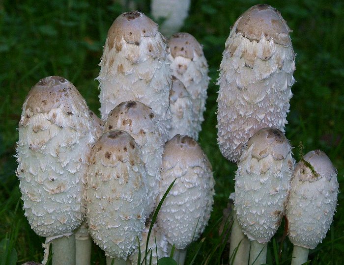 Kliknij, aby powrócić na stronę główną tej galerii