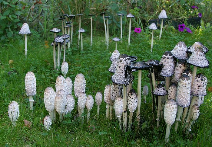 Kliknij, aby powrócić na stronę główną tej galerii