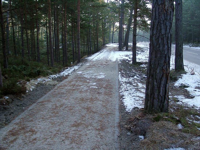 Kliknij, aby powrci na stron gwn tej galerii