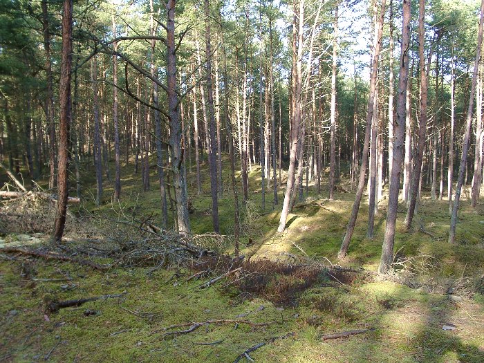 Kliknij, aby powrci na stron gwn tej galerii