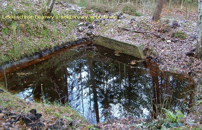 Kliknij, aby powrci na stron gwn tej galerii