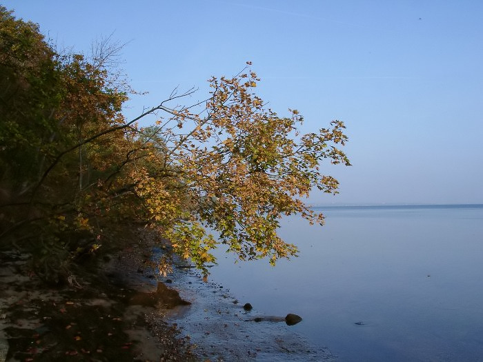 Kliknij, aby powrci na stron gwn tej galerii