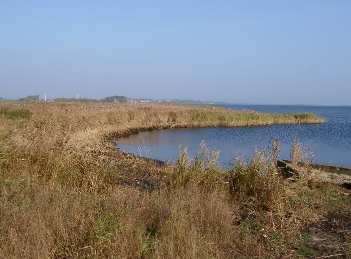 Kliknij, aby powrci na stron gwn tej galerii