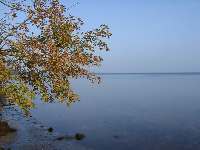 Kliknij, aby powrci na stron gwn tej galerii