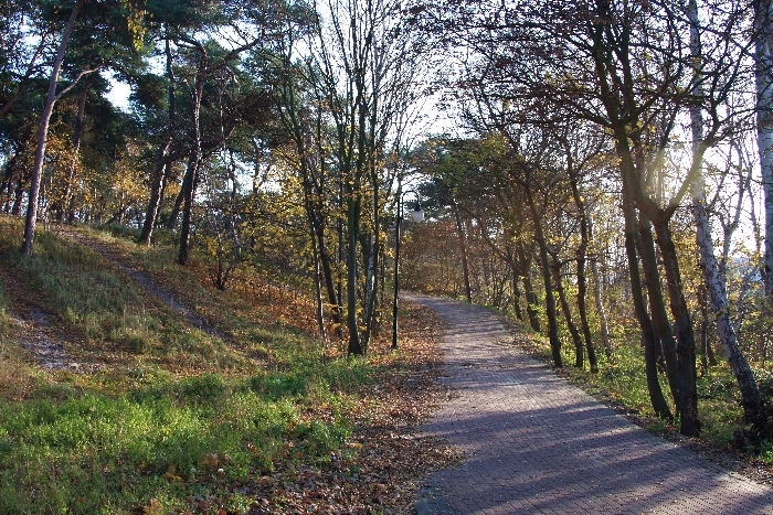 Kliknij, aby powrci na stron gwn tej galerii