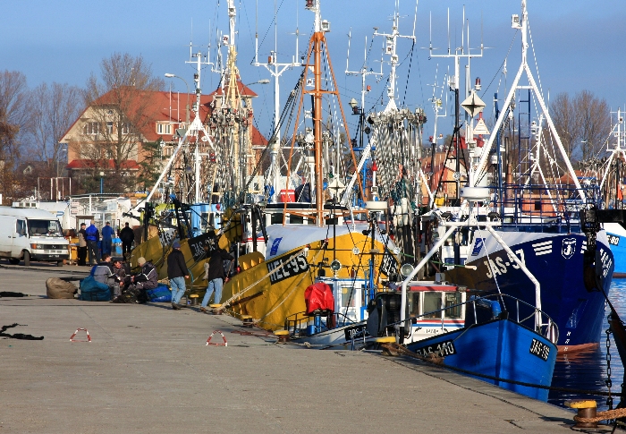 Kliknij, aby powrci na stron gwn tej galerii