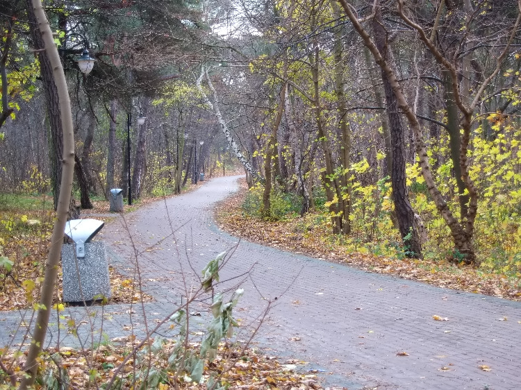 Kliknij, aby powrci na stron gwn tej galerii