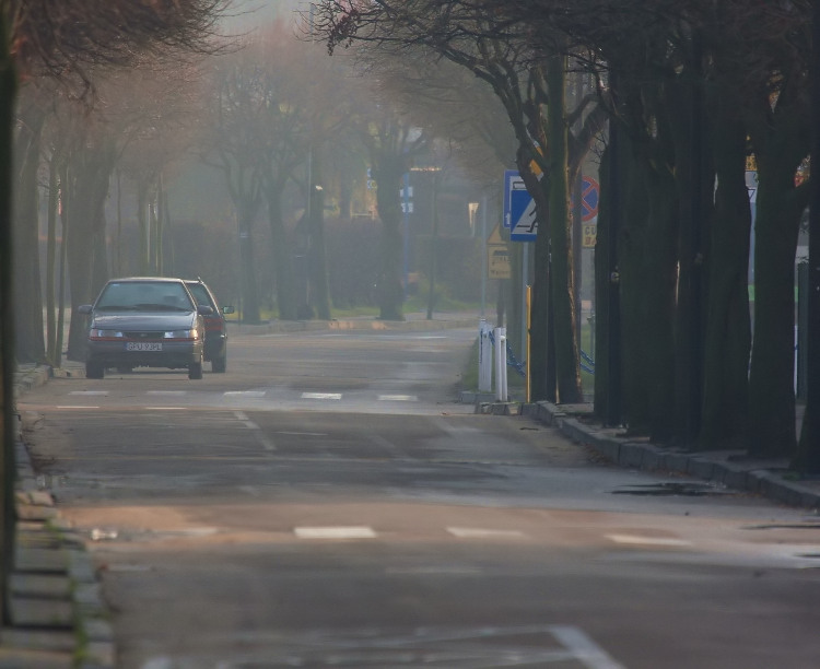 Kliknij, aby powrci na stron gwn tej galerii