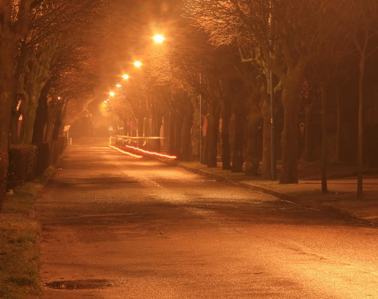 Kliknij, aby powrci na stron gwn tej galerii
