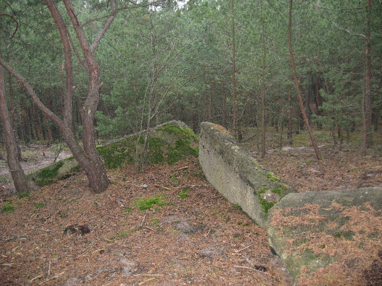 Kliknij, aby powrci na stron gwn tej galerii