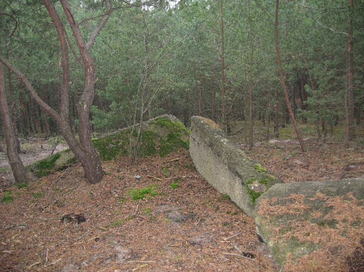 Kliknij, aby powrci na stron gwn tej galerii