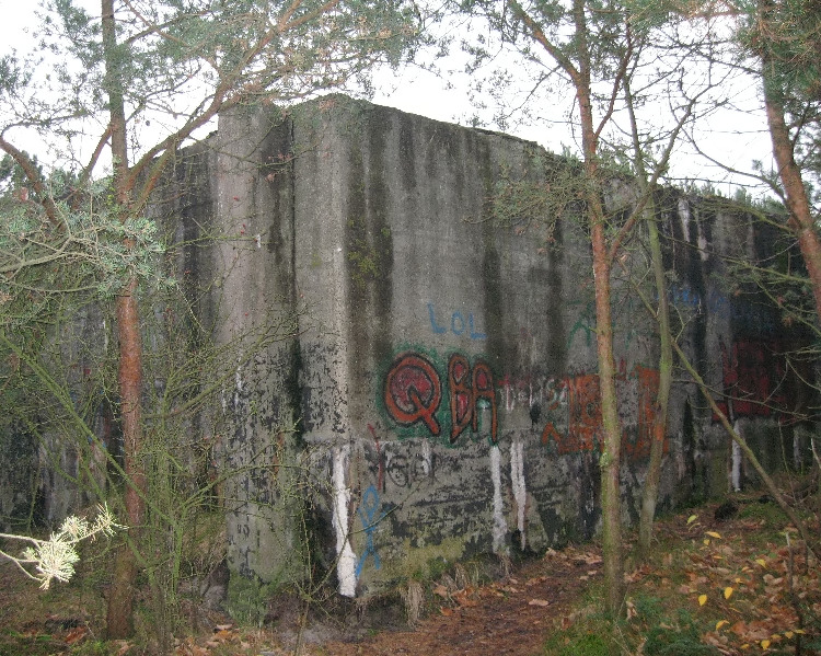 Kliknij, aby powrci na stron gwn tej galerii