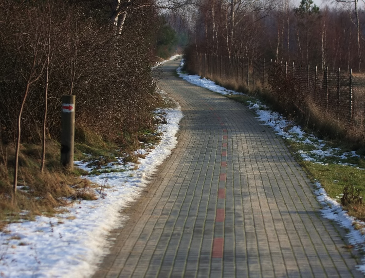 Kliknij, aby powrci na stron gwn tej galerii