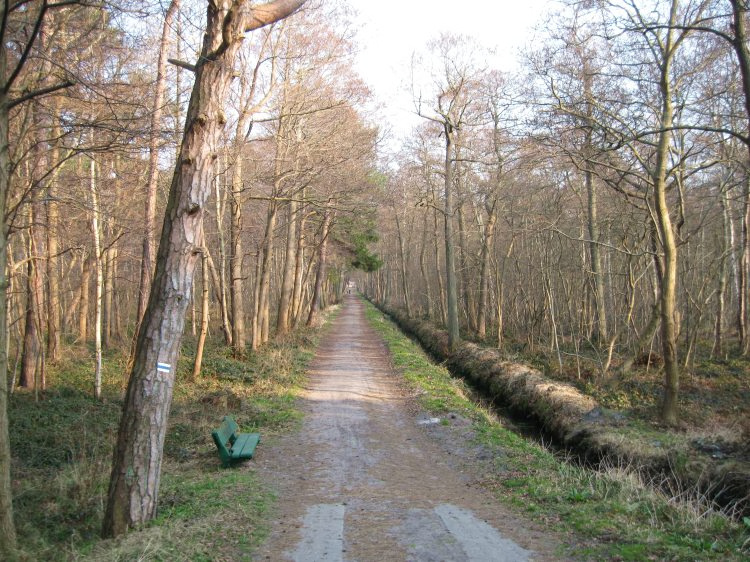 Kliknij, aby powrci na stron gwn tej galerii