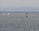 Wiosenny windsurfing w Jastarni
