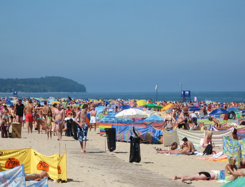 Kliknij, aby powrci na stron gwn tej galerii
