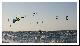 Puchar i Mistrzostwo Polski Ford Kite Cup