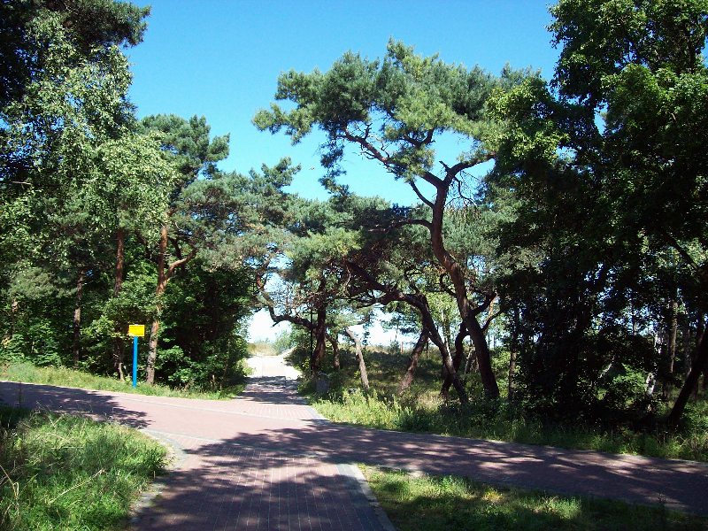 Kliknij, aby powrci na stron gwn tej galerii