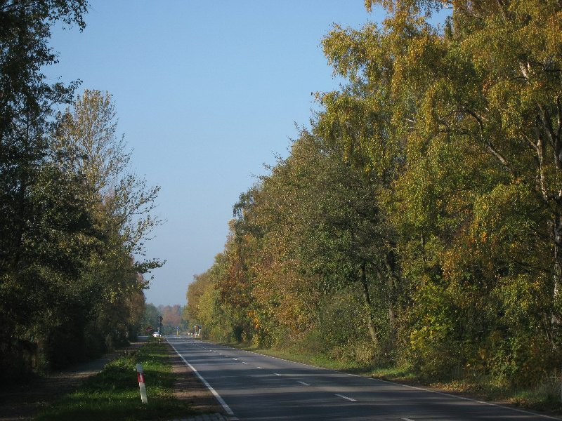 Kliknij, aby powrci na stron gwn tej galerii