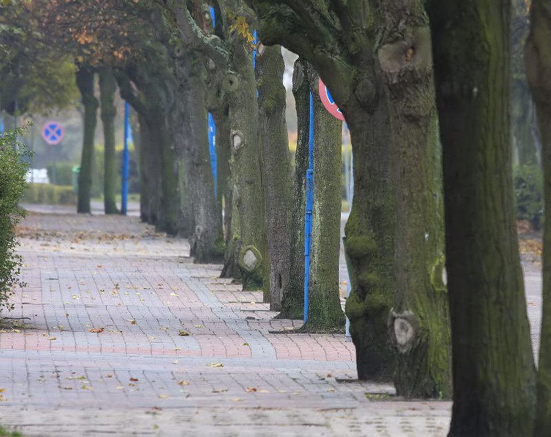 Kliknij, aby powrci na stron gwn tej galerii