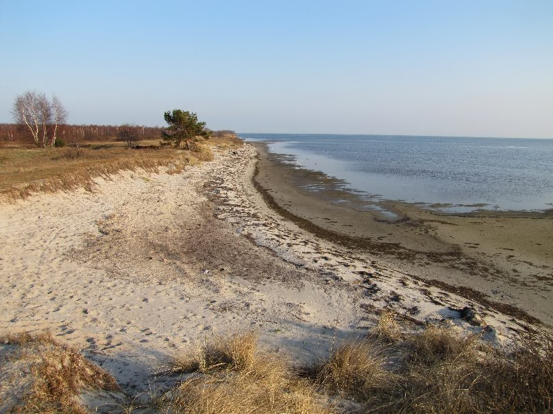 Kliknij, aby powrci na stron gwn tej galerii