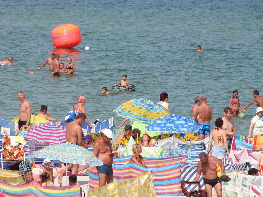Kliknij, aby powrci na stron gwn tej galerii