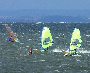 Windsurfing  w Jastarnii