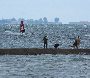 Windsurfing  w Jastarnii