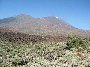 Wulkan Teide na rowerze