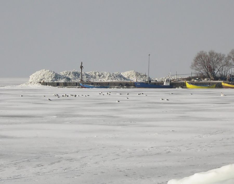 Zalodzona Zatoka Pucka i Gdaska