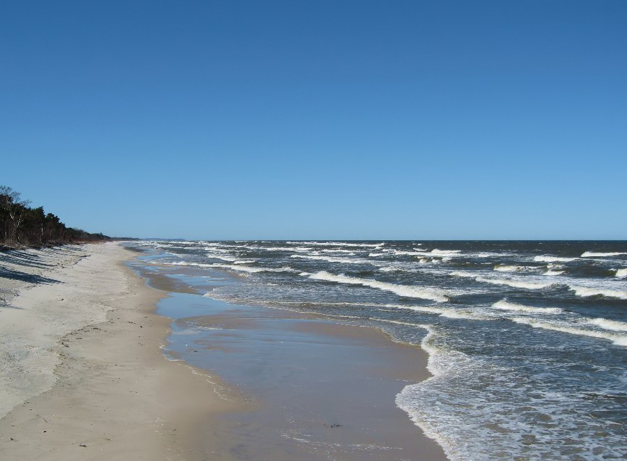 Soce, wiatr, morze, zatoka i plaa, czyli windsurfing i kitesurfing na Pwyspie Helskim