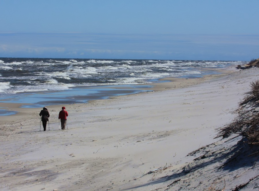 Soce, wiatr, morze, zatoka i plaa, czyli windsurfing i kitesurfing na Pwyspie Helskim