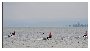Ford Kite Cup Chaupy 2011 