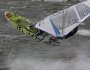 Windsurfing i kitesurfing w Jastarni na Pwyspie Helskim 