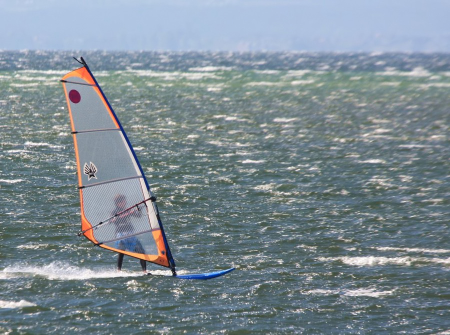 Soce, wiatr i woda, czyli windsurfing i kitesurfing na Pwyspie Helskim