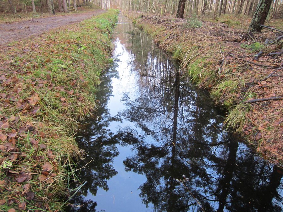 Wietrzny grudzie na Pwyspie Helskim