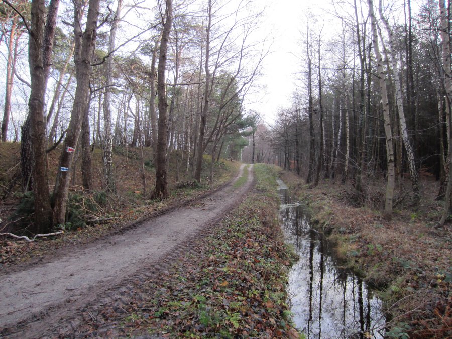 Wietrzny grudzie na Pwyspie Helskim