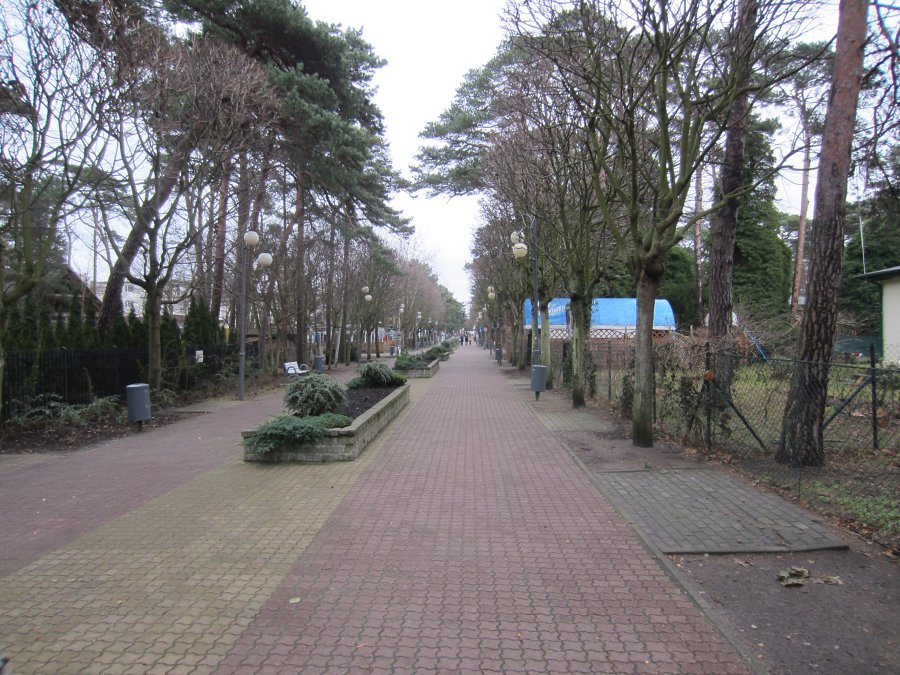 Pierwszy dzie wit Boego Narodzenia na Pwyspie Helskim