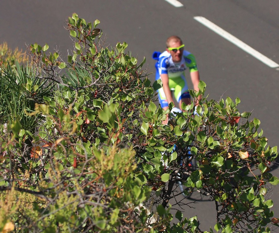 Basso, Nibali, Szmyd i spka, czyli Liquigas trenuje na Teide na Teneryfie