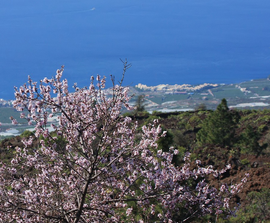 Basso, Nibali, Szmyd i spka, czyli Liquigas trenuje na Teide na Teneryfie