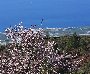 Basso, Nibali, Szmyd i spka, czyli Liquigas trenuje na Teide na Teneryfie