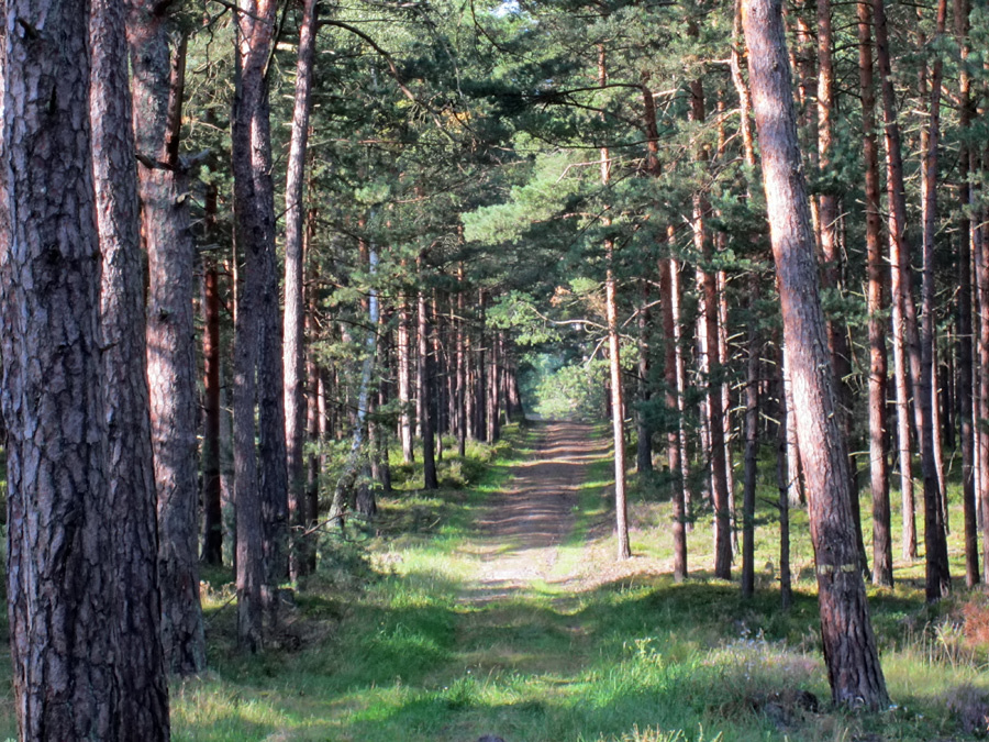 Wrzeniowe lato w Jastarni na Pwyspie Helskim