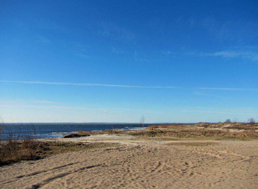 Przedwiosenny poranek, czyli 03.03.2013 w Jastarni na Pwyspie Helskim